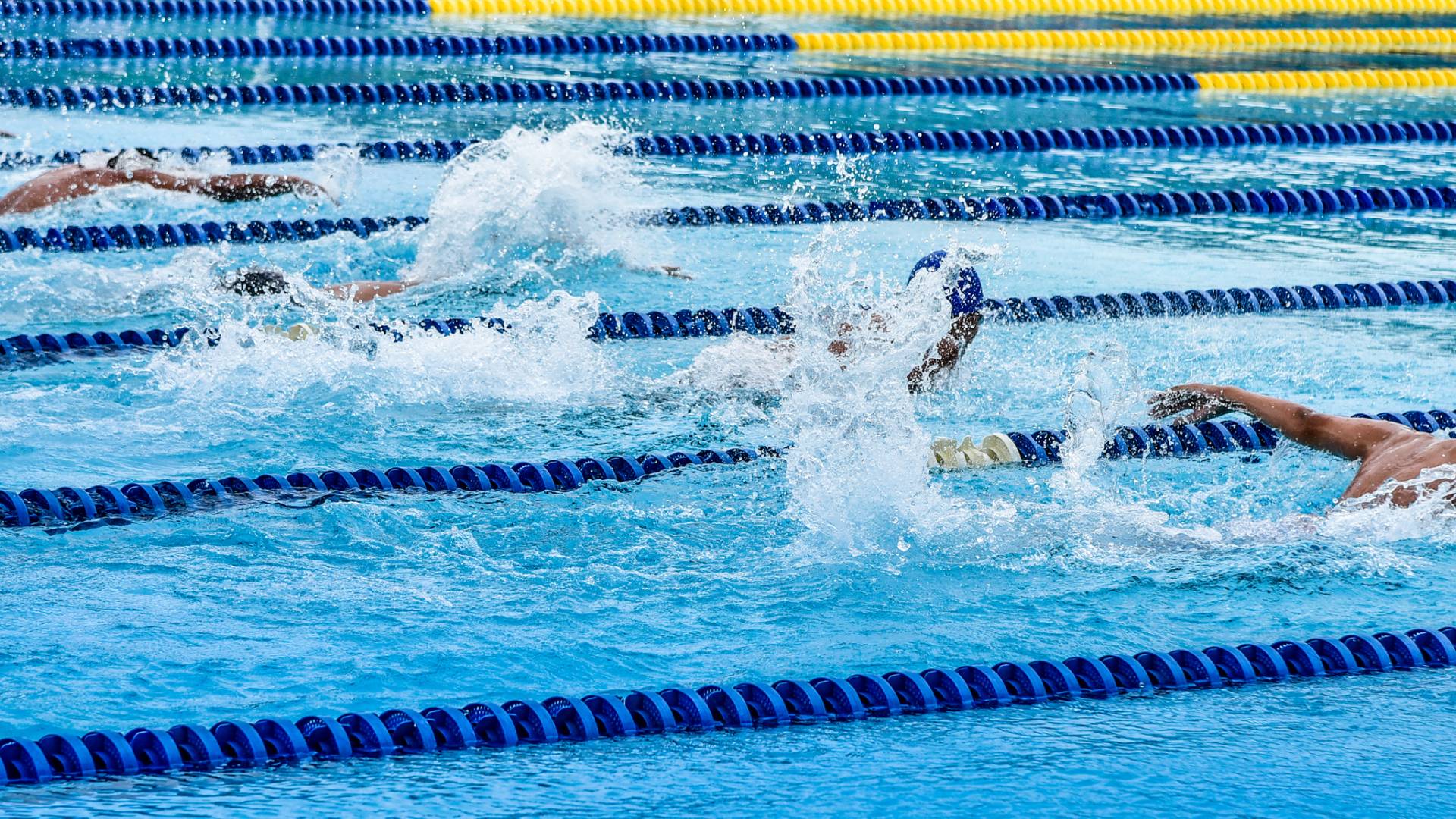 Swimming Athens World Company Sports Games 2020 swimming-athens-world-company-sports-games-2020